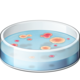 培养皿emoji素材一 160x160像素