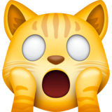 疲倦的猫emoji素材一 160x160像素