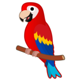 鹦鹉emoji素材一 160x160像素