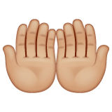 手掌向上:中等浅肤色emoji素材一 160x160像素
