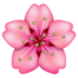 WhatsApp里的樱花emoji表情