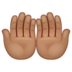 WhatsApp里的手掌向上:中等肤色emoji表情