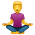 WhatsApp里的打坐的 人emoji表情