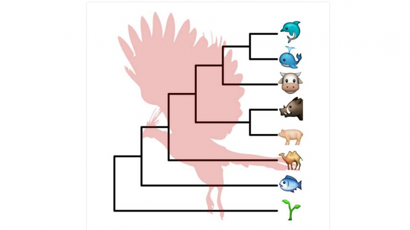 点的形状太少？快用emoji来画图！缩略图