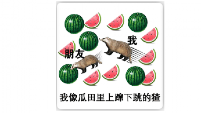 TMD 烦死了，别再吃瓜了！（全套吃瓜emoji表情包）缩略图