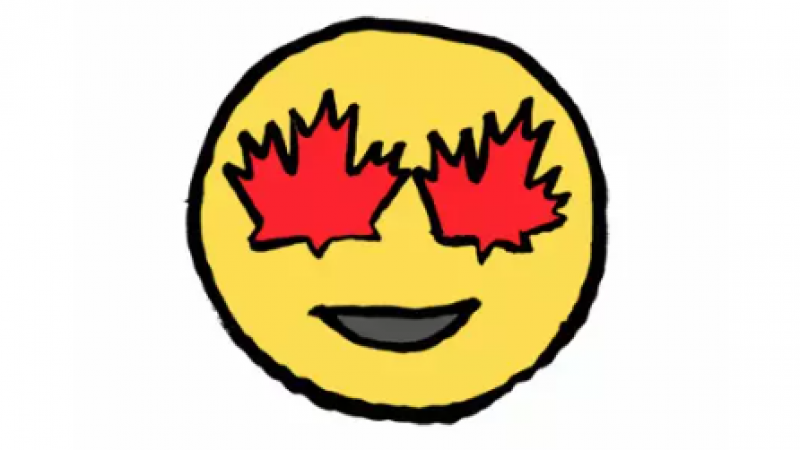 枫叶国全民卖萌：看看加拿大最火的特色emoji聊天表情包