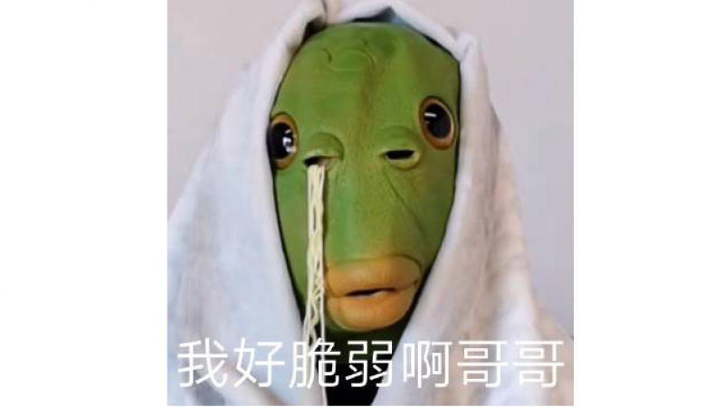 绿头鱼表情包 |哥哥，我好脆弱啊缩略图
