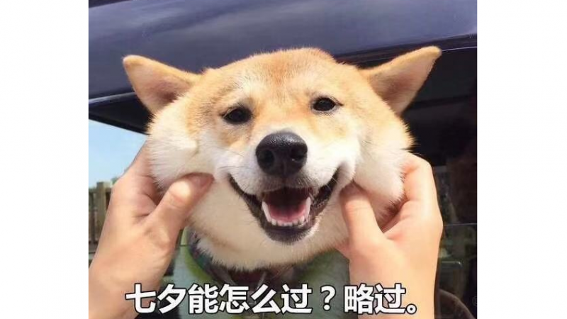 七夕单身狗表情包|七夕该怎么过，略过吧缩略图