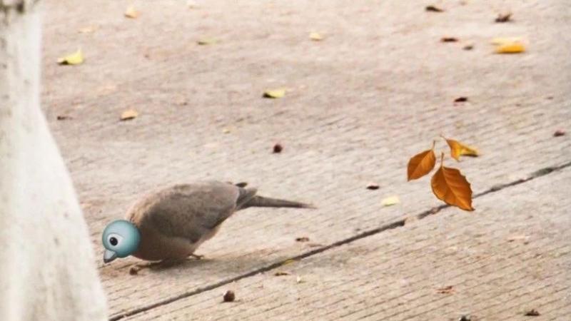 生活奇趣 | Emoji With Me缩略图