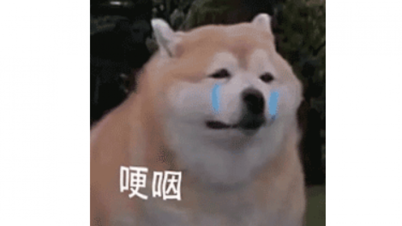 哭泣表情包，这下我哭的好难过！缩略图