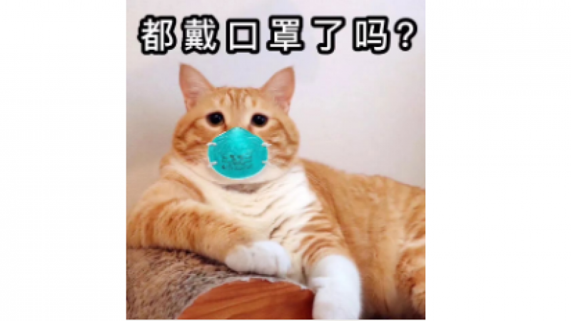 疫情期间，口罩请带好表情包缩略图