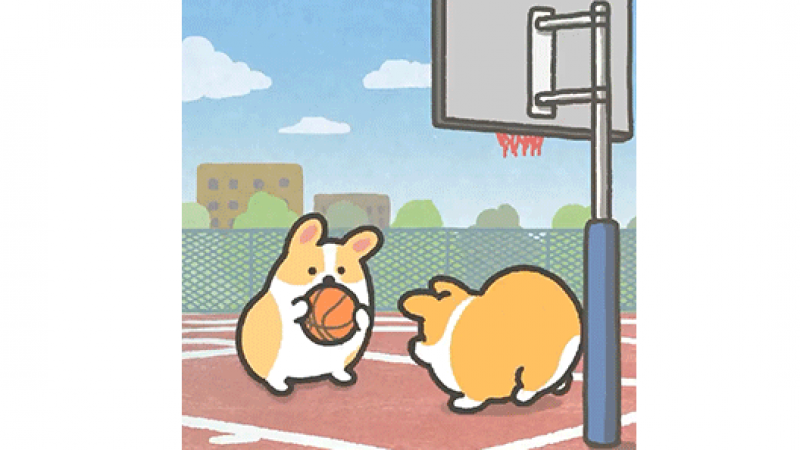 柯基的日常表情包