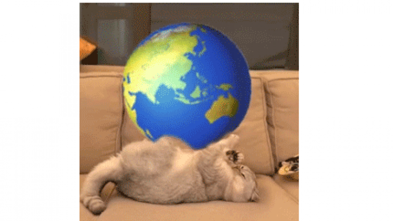 emoji表情包 | 猫咪转微信大黄脸 动态表情包缩略图