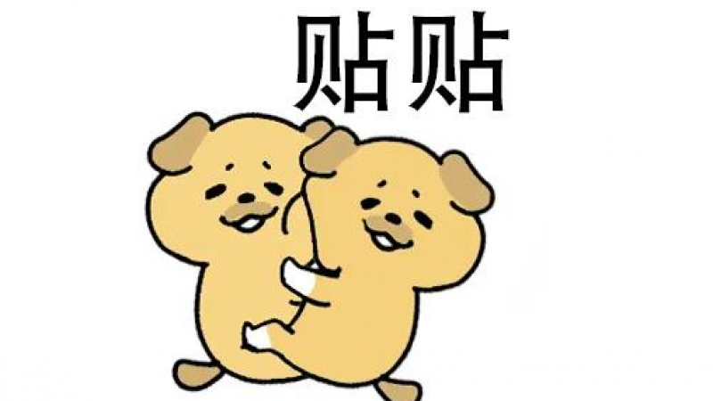 沙雕小黄狗表情包 |我把你对象抱来了 他说他太想你了