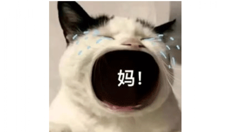 表情包 | 大嘴猫咪表情包缩略图