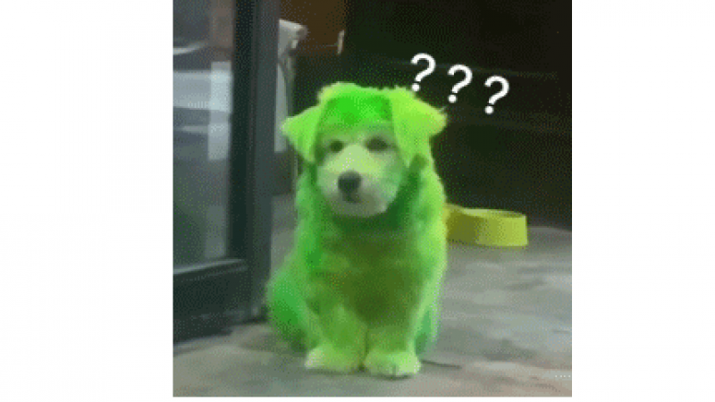 彩色狗子表情缩略图